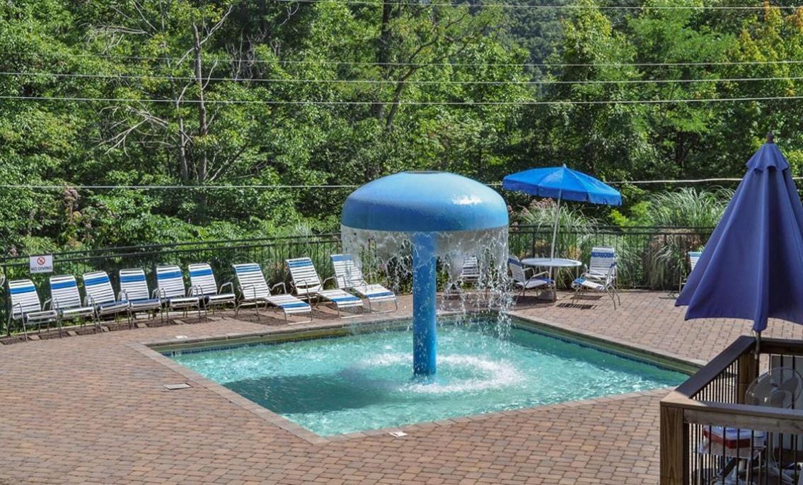 Chestnut Bearadise Villa Gatlinburg Bagian luar foto